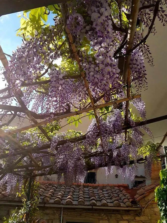 شقة Casa Dell'Ermanna كورتونا
